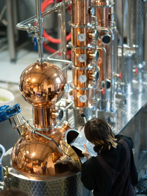 Distillerie-pareidolie